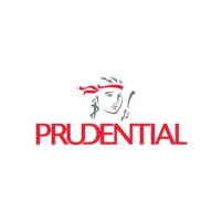 PMN (PRUDENTIAL MEDICAL NETWORK)